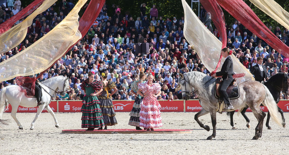 Eine spanische Reitergruppe bei der Hengstparade 2019 (Bild: Thomas Warnack / dpa)