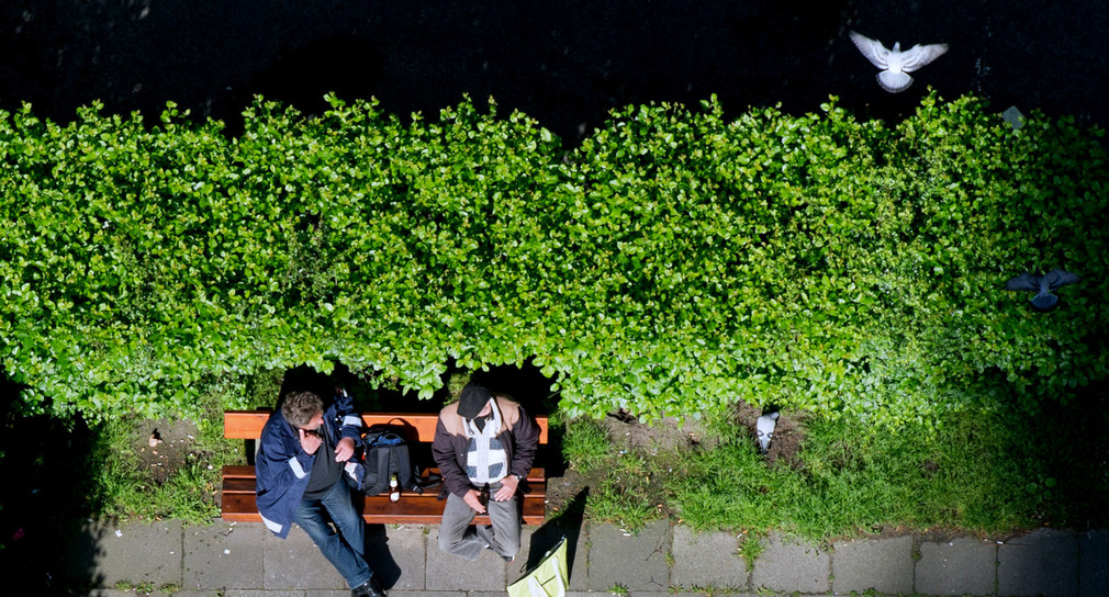 Zwei Männer sitzen auf einer Bank vor einer hohen grünen Hecke. (Foto: © dpa)