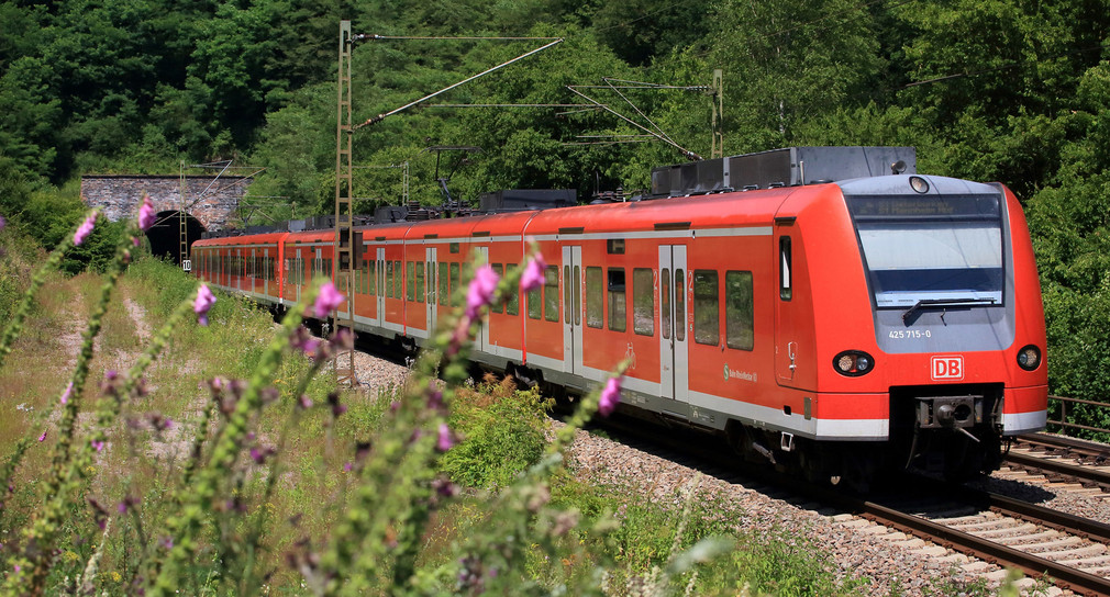 S-Bahn fährt durch eine ländliche Gegend (Foto: obs/Deutsche Bahn AG/Uwe Miethe)