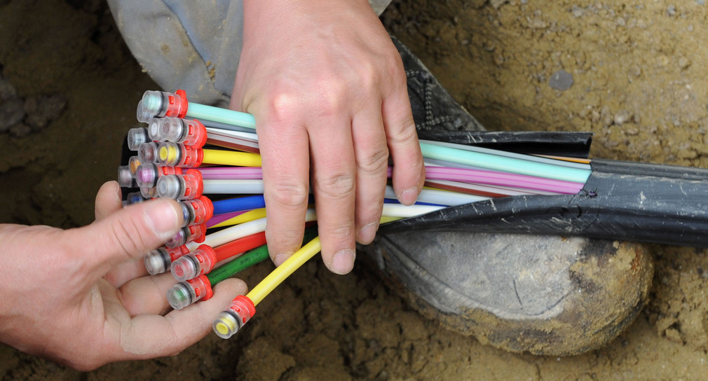 Glasfaser-Kabel mit farbigen Einzelsträngen (Foto: dpa)