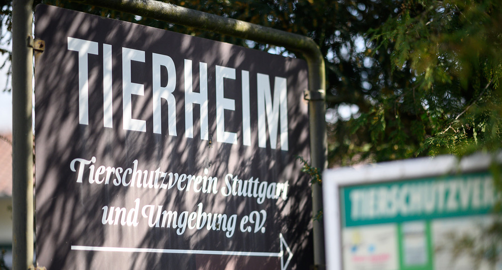 Ein Schild mit der Aufschrift „Tierheim“ steht vor dem Tierheim in Stuttgart. (Bild: picture alliance/Sebastian Gollnow/dpa)