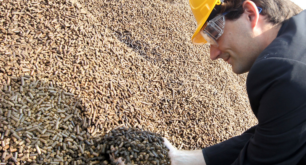 Ein Mann greift in einen Berg Holzpellets (Symbolbild: © dpa).