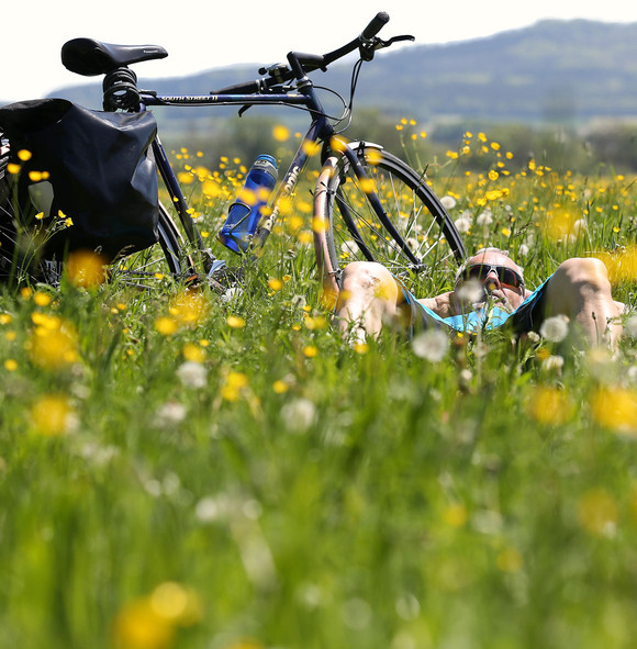 Ein Radfahrer entspannt auf einer Blumenwiese.