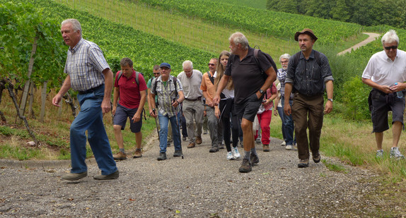 Ministerpräsident Winfried Kretschmann (M.) wandert mit der Wandergruppe auf dem Vierburgenweg nach Emmendingen
