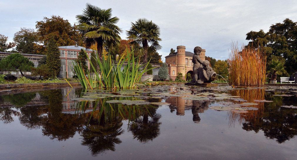 Im Botanischen Garten in Karlsruhe spiegelt sich die Umgebung im Wasser eines Brunnens wieder.  (Bild: dpa)