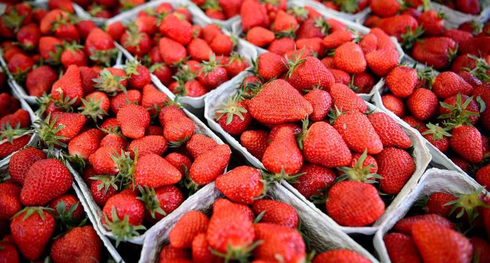 Erdbeeren auf einem Wochenmarkt (Foto: © dpa)