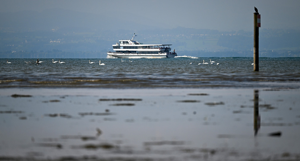Ein Passagierschiff fährt bei Niedrigwasser auf dem Bodensee.