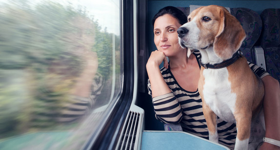 Eine Frau sitzt in einem fahrenden Zug und schaut aus dem Fenster. Auf dem Schoß hat sie einen Hund, der ebenfalls aus dem Fenster schaut.