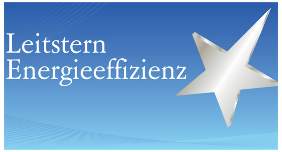 Logo Leitstern Energieeffizienz