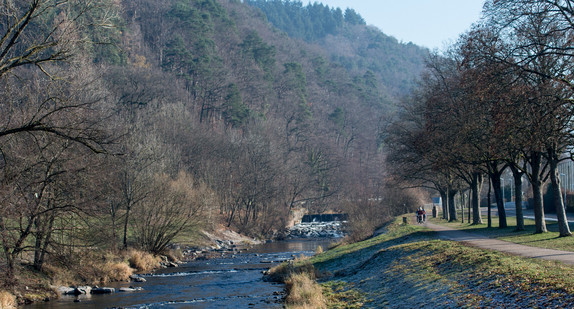 Spaziergänger gehen in Freiburg an der Dreisam entlang. (Foto: © dpa)