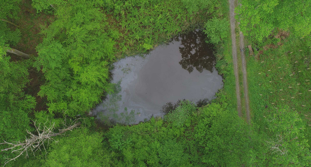 Wasserrückhalt im Wald