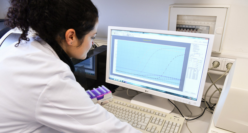 Eine Laborantin schaut sich im Diagnostikzentrum im Staatlichen Tierärztlichen Untersuchungsamt in Aulendorf an einem Computer die Ergebnisse eines molekularbiologischen Tests an. (Foto: © dpa)