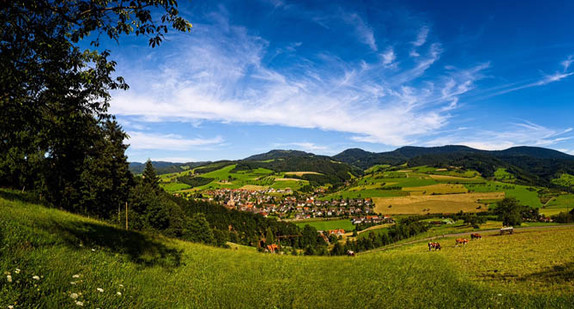 Naturpark Schwarzwald Mitte/Nord (Foto: © Ralph Weber Photo)