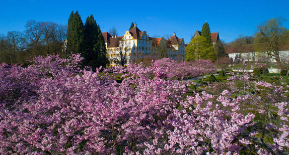 Kloster und Schloss Salem im Frühling 