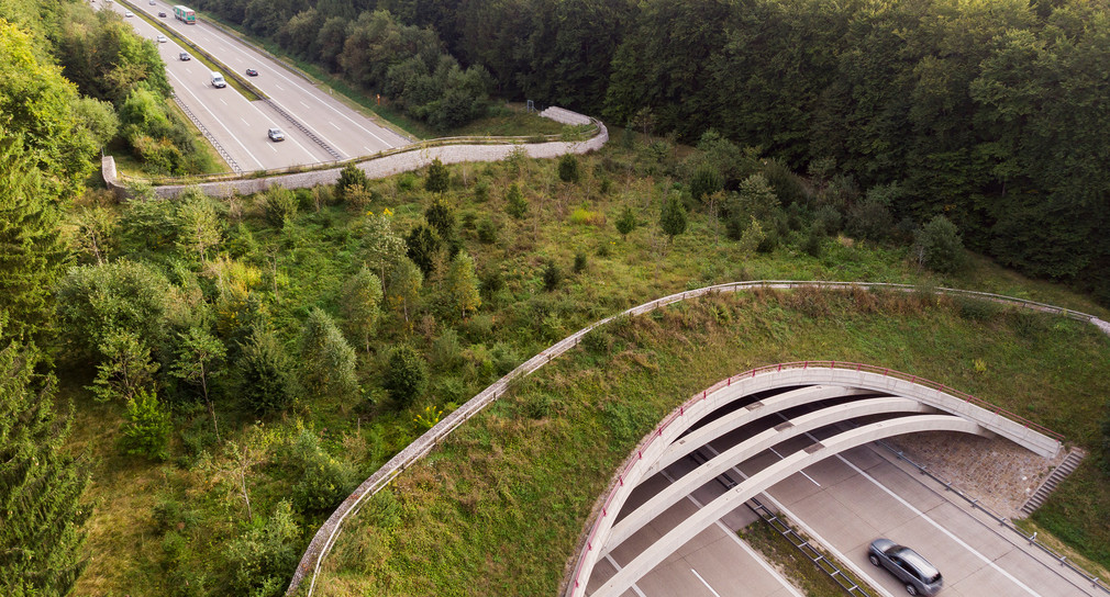 Grünbrücke BAB A 7 in Nietheim (Bild: © Martin Stollberg)