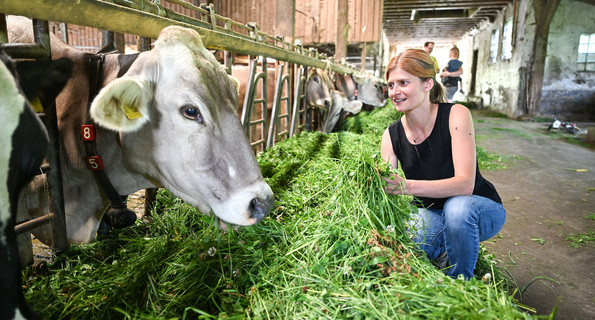 Eine Mitarbeiterin des Landwirtschaftlichen Zentrums Baden-Württemberg in Aulendorf hockt im Stall von neben mehreren Kühen.