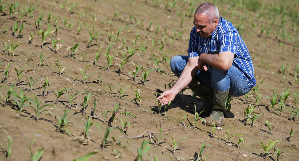 Landwirte können Unwetterhilfen beantragen: Baden-Württemberg.de