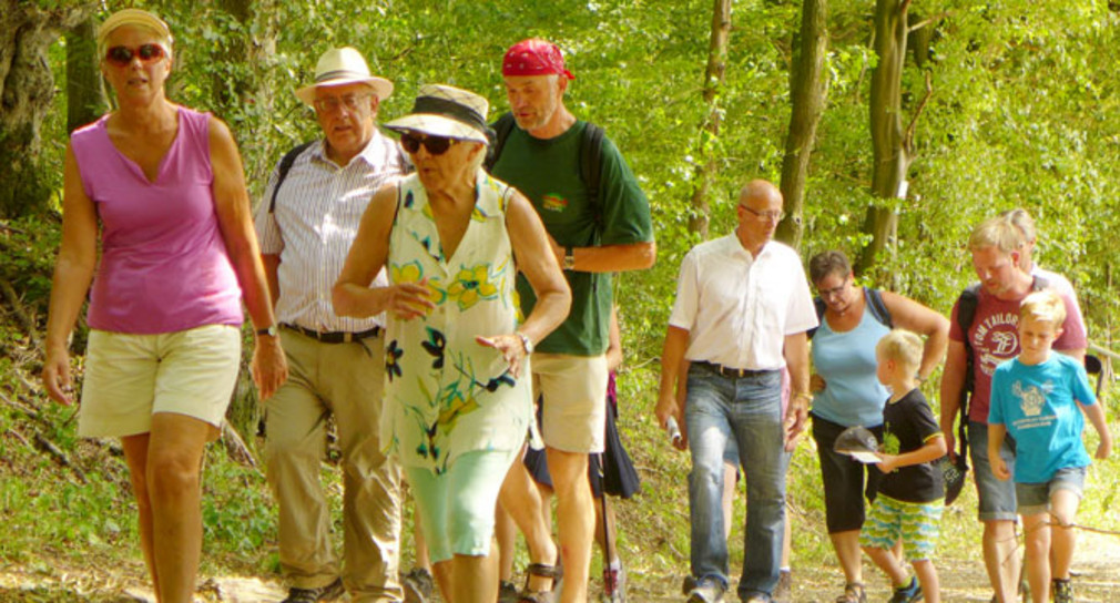 Eine gemischte Wandergruppe auf einem Waldwanderweg.