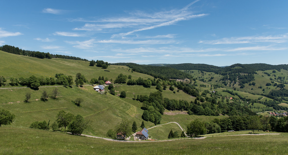 Blick in das Tal bei Wieden im Südschwarzwald. (Bild: dpa)