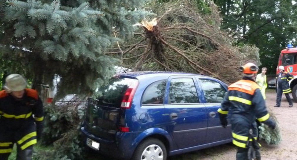 Ein PKW steht am Dienstagabend (12.07.2011) in Emmendingen unter einem durch eine Sturmböe umgeknickten Baum. (Foto: dpa)