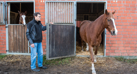 Ein Landwirt lässt auf seinem Bauernhof Pferde auf die Weiden laufen (Bild: © picture alliance/Daniel Bockwoldt/dpa)