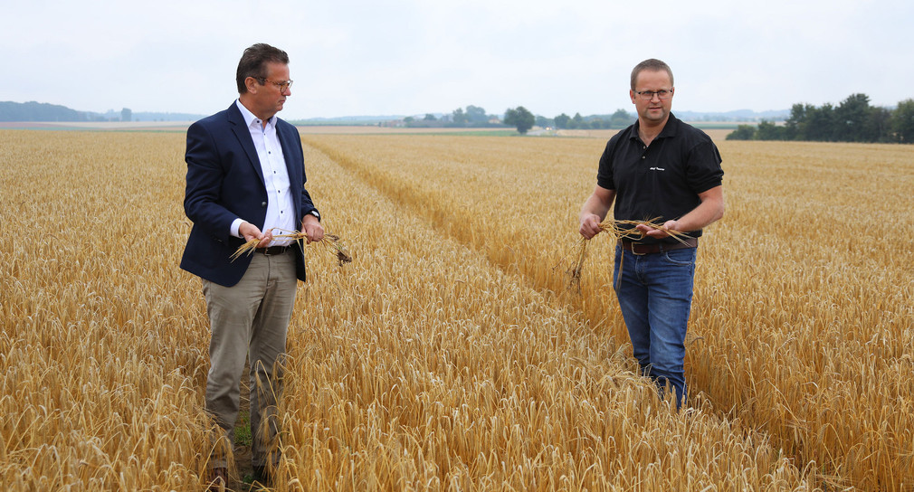 Landwirtschaftsminister Peter Hauk (l.) und Landwirt Jürgen Maurer (r.) beim Ernteauftakt 2020 in Kupferzell (Bild: Ministerium für Ländlichen Raum und Verbraucherschutz Baden-Württemberg)