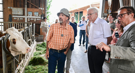 Ministerpräsident Winfried Kretschmann (M.), und Landwirtschaftsminister Peter Hauk (r.) bei einem Besuch im Kuhstall eines Bio-Bauernhofes.