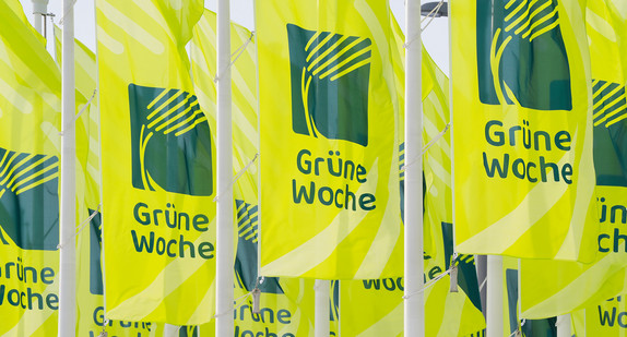 Flaggen der Grünen Woche in Berlin