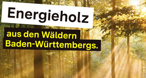 Kampagnenplakat "Energieholz aus den Wäldern Baden-Württembergs"