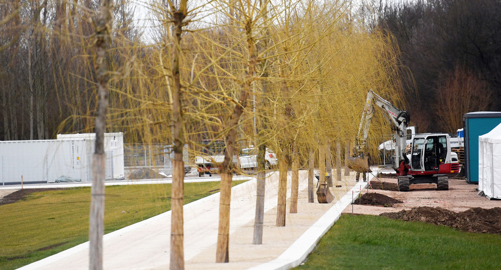 Lahr: Ein Bagger arbeitet auf dem Landesgartenschaugelände neben einer Baumallee. (Foto: © dpa)