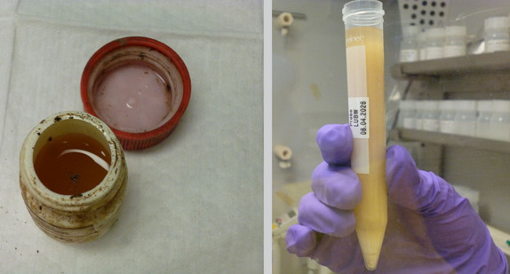 links: Behältnis, das am Ostersonntag (5. April 2026) in einem Garten gefunden wurde; rechts: Laboranalyse