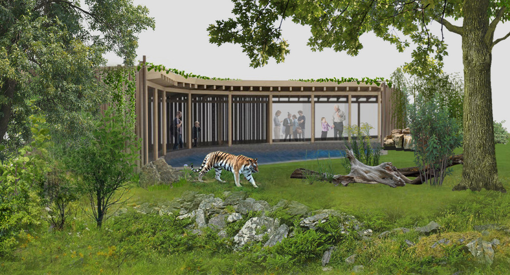 Perspektive mit Tigerbecken und Besuchsstand Amur-Tigeranlage Wilhelma