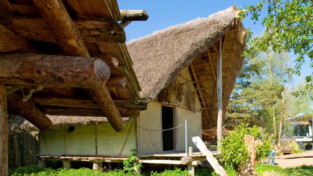 Federseemuseum Bad Buchau