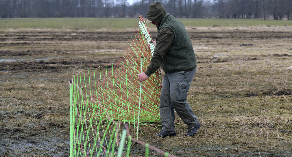 Schäfer stellt einen elektrischen Weidezaun auf. (Foto: © dpa)