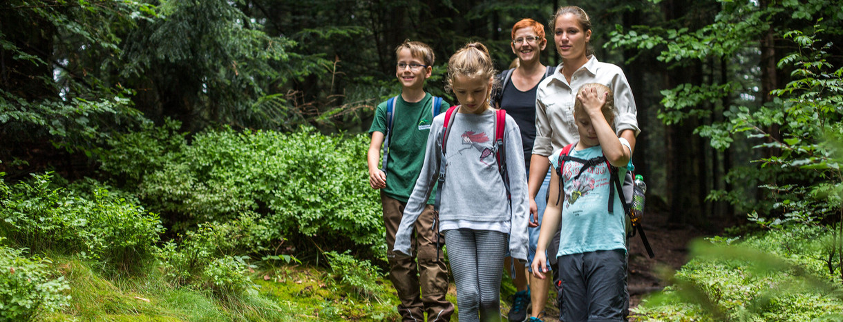 Eine Familie wandert durch den Nationalpark Schwarzwald.