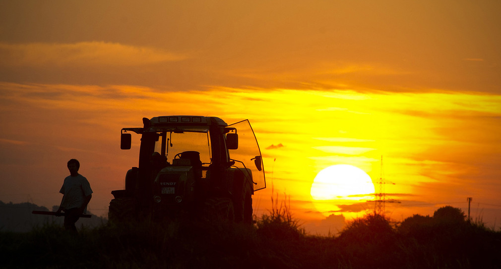 Symbolbild: Ein Landwirt arbeitet in der Abendsonne neben seinem Traktor auf einem Feld bei Winnenden in Baden-Württemberg. (Bild: dpa)