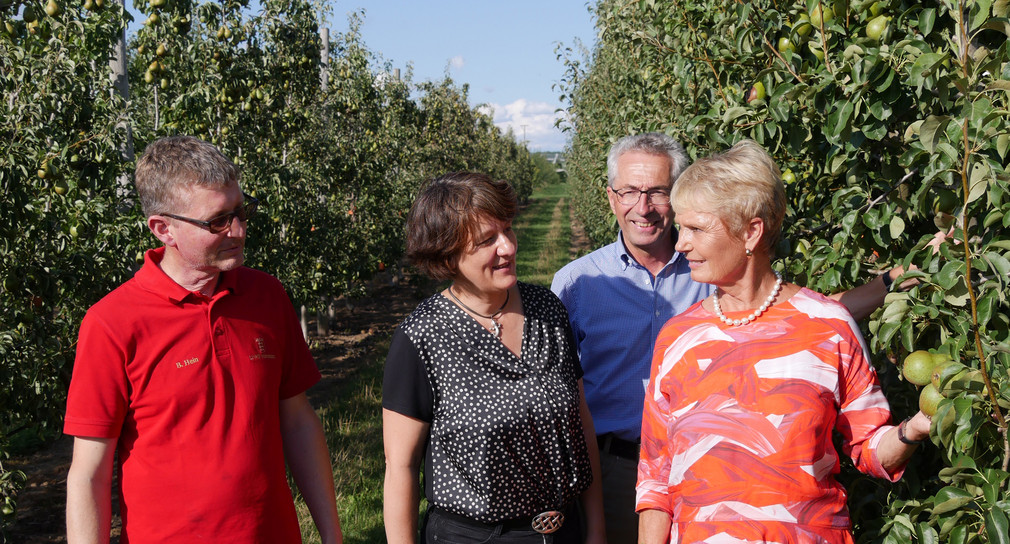 Burghard Hein, Betriebsleiter der Staatlichen Lehr- und Versuchsanstalt für Wein- und Obstbau Weinsberg (links im Bild), Finanzstaatssekretäin Gisela Splett (Mitte) und Landwirtschaftsstaatssekretärin Friedlinde Gurr-Hirsch (rechts im Bild) begehen das Obstversuchsgut Heuchlingen.