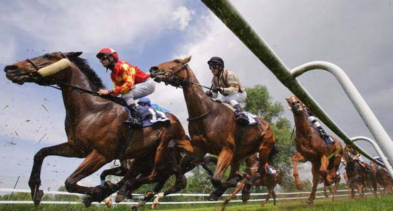 Beim Pferderennen kämpfen zwei Teilnehmer und ihre Tiere um den Sieg.