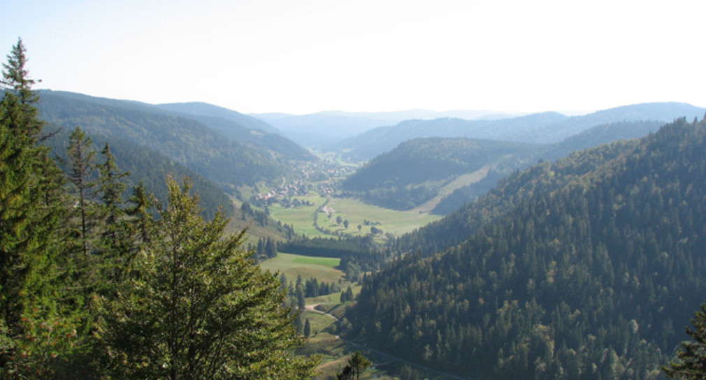Blick nach Menzenschwand (Foto: Regierungspräsidium Freiburg)