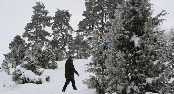 Ein Mann geht bei Albstadt auf dem ersten Premium-Wanderweg in Baden-Württemberg durch die verschneite Winterlandschaft. (Foto: dpa)