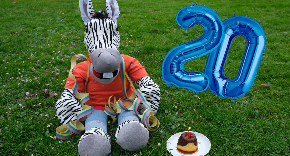 Das „Kleine Zebra“ wird 20 Jahre alt (Bild: Innenministerium Baden-Württemberg)