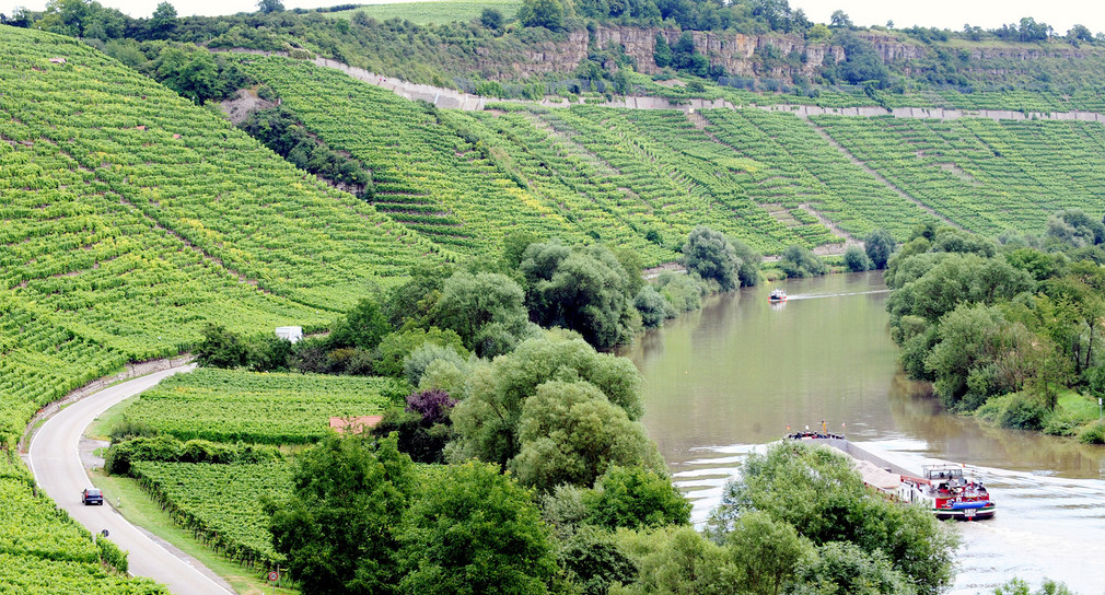 Weinberge am Neckar, Hessigheimer Felsengärten.