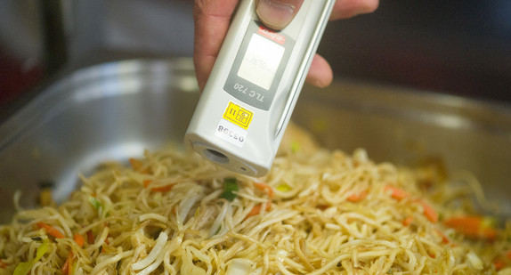 Ein Lebensmittelkontrolleur der Stadt Mannheim überprüft am 29.03.2012 in Mannheim bei einer Betriebskontrolle die Temperatur von chinesischen Nudeln. (Bild: Uwe Anspach / dpa)