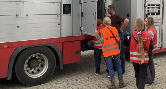   Tiertransportkontrollen am Autobahnkreuz Walldorf: Zum Schutz von Tieren und für eine erhöhte Verkehrssicherheit führen die unteren Veterinärbehörden gemeinsam mit der Polizei zweimal jährlich mehrwöchige Schwerpunktkontrollen durch.