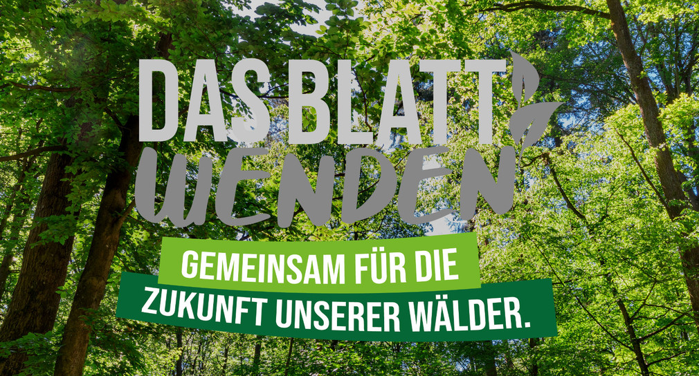 Das Wort-Bild-Logo der Informationskampagne „Das Blatt wenden – Gemeinsam für die Zukunft unserer Wälder“