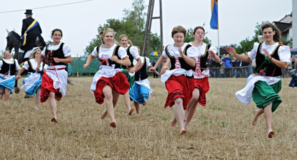 Die Schäfermädchen laufen am Samstag (27.08.2011) beim traditionellen Schäferlauf in Markgrönningen (Kreis Ludwigsburg) übers Stoppelfeld. (Foto: dpa)