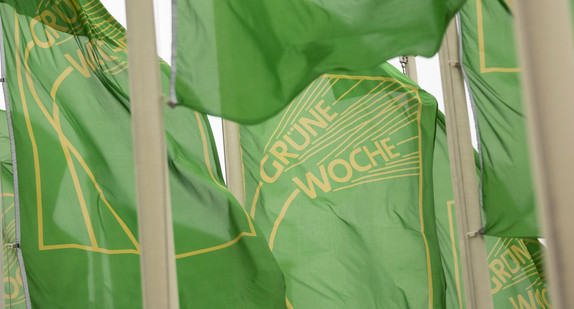 Fahnen der Internationalen Grünen Woche 2019 wehen an der Messe Berlin im Wind. (Bild: © dpa)