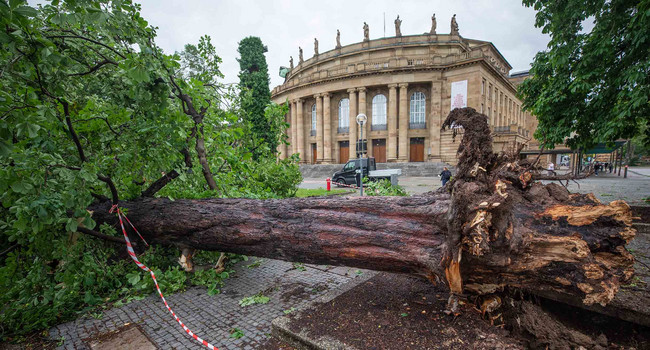 Ein umgestürzter Baum liegt vor dem Opernhaus in Stuttgart.']