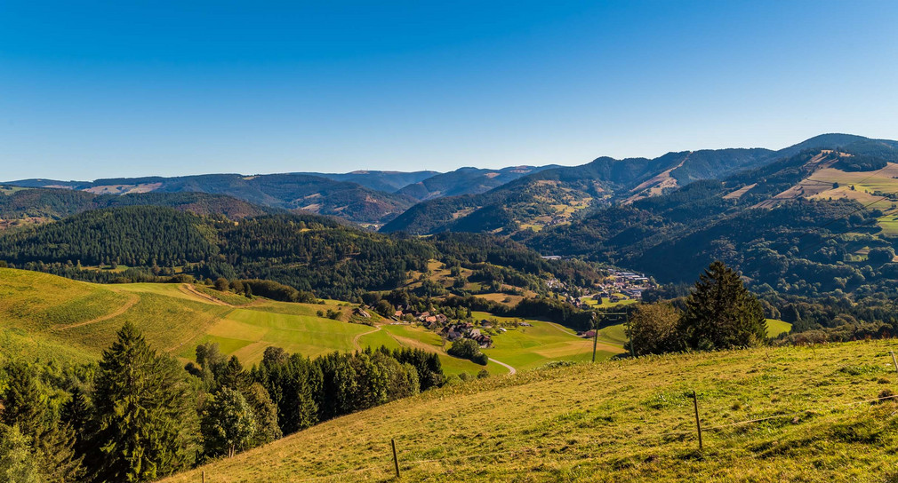 Biosphärengebiet Schwarzwald: Blick nach Schönau (Bild: © Klaus Hansen/Regierungspräsidium Freiburg)