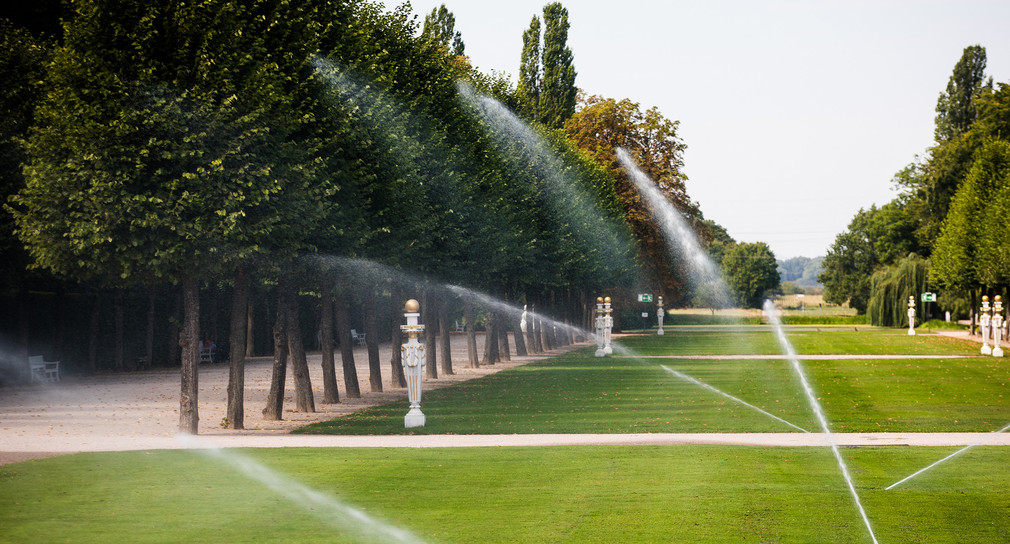 Grünflächen werden im Schwetzinger Schlossgarten mit Wasser gegossen. (Bild: picture alliance/Christoph Schmidt/dpa)